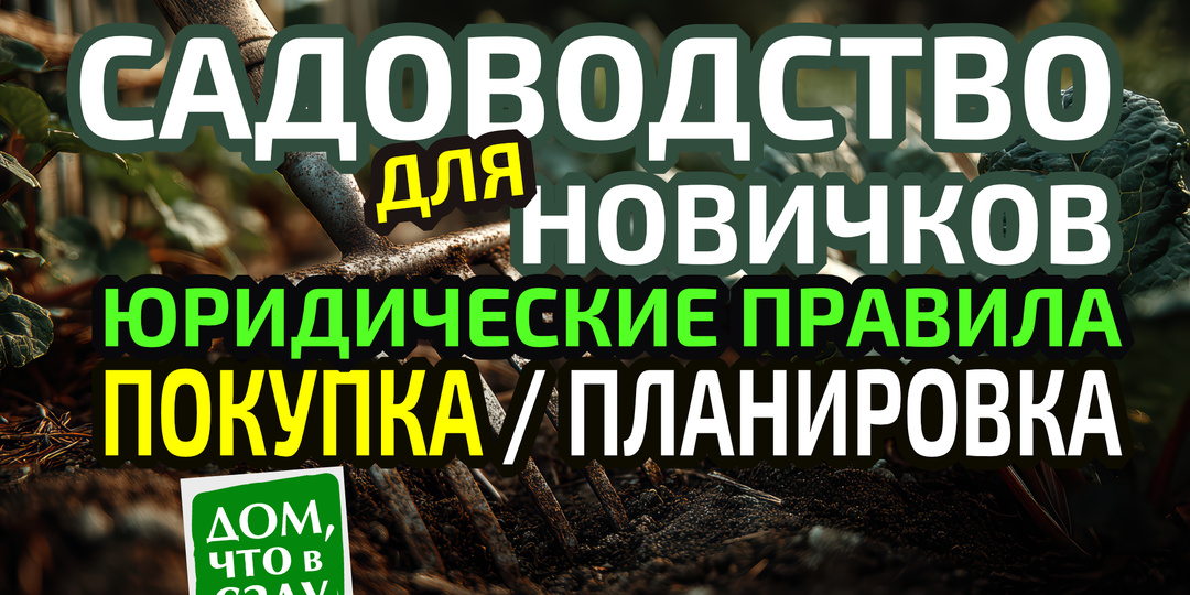 САДОВОДСТВО ДЛЯ НОВИЧКОВ: ЮРИДИЧЕСКИЕ ПРАВИЛА покупки и планировки участка.