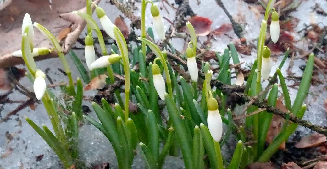Пробуждение природы и чем занималась.