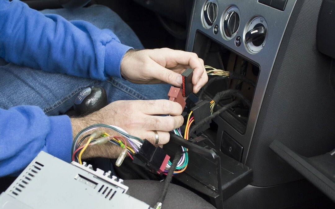 Фото: Tomasz Majchrowicz / Shutterstock / FOTODOM