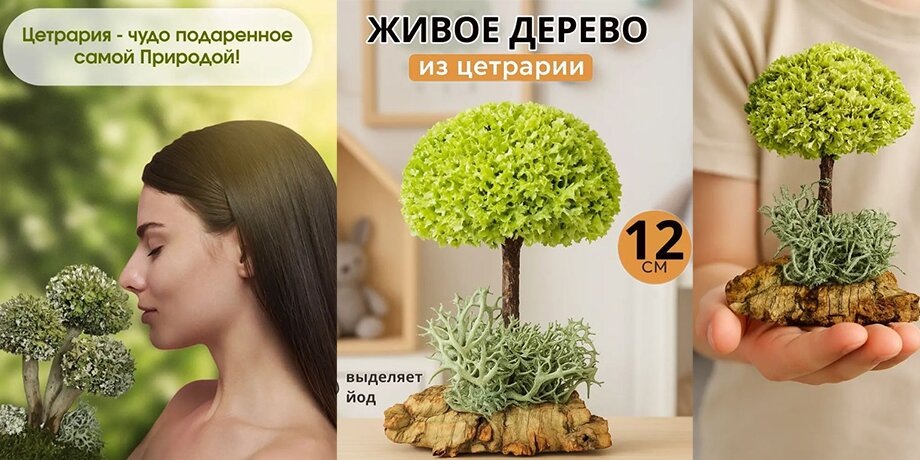    Фото: wildberries.ru