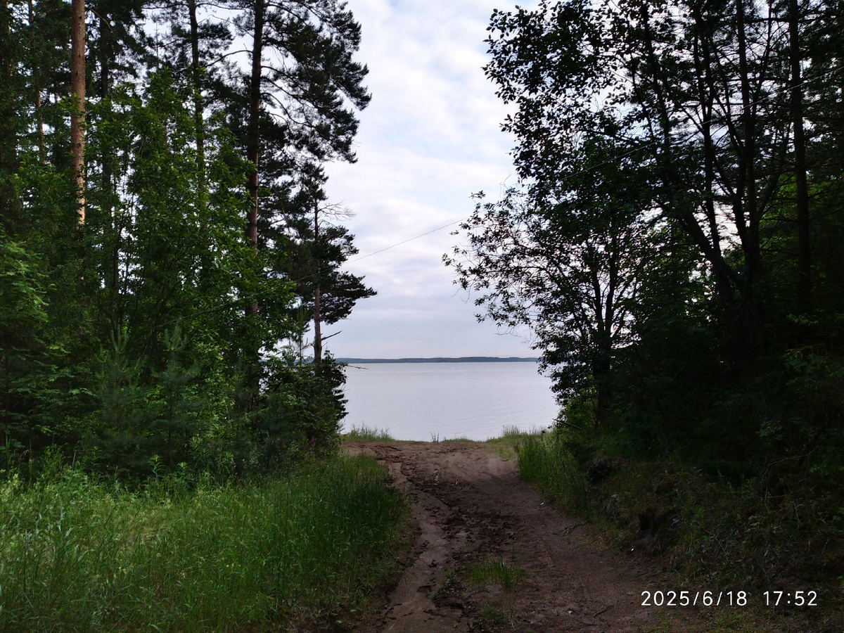 это другое место, не нашла фотографию именно того спуска, помню, что где-то была. Там тоже такой переход из темного леса к воде