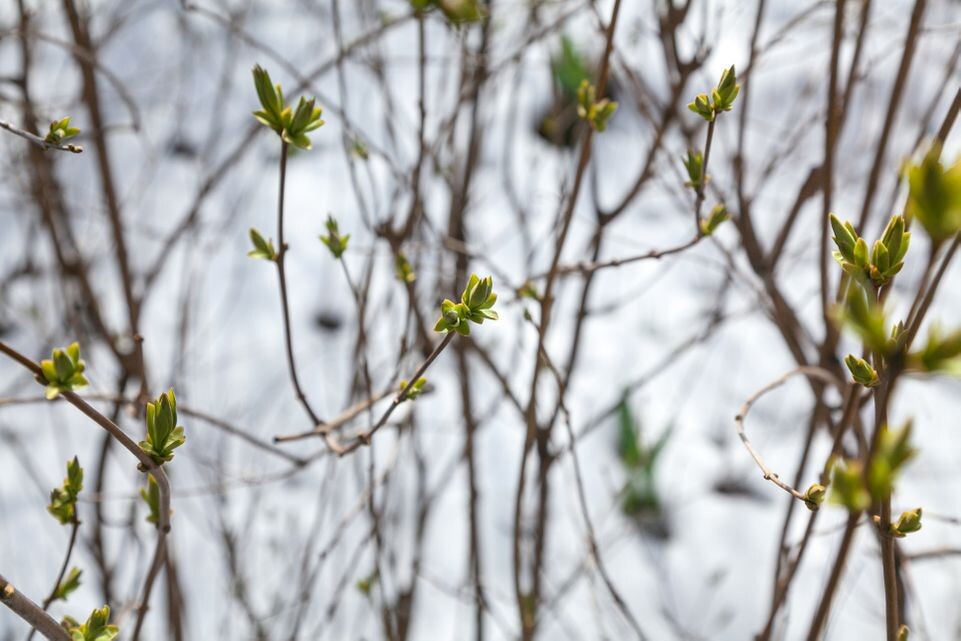    Весна в городе Дзержинский / Медиасток.рф