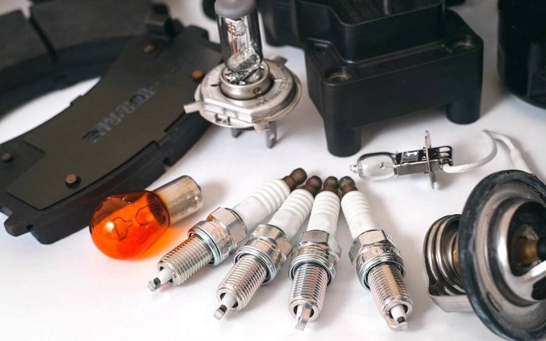 Фото: Koshevskyi / Shutterstock / FOTODOM