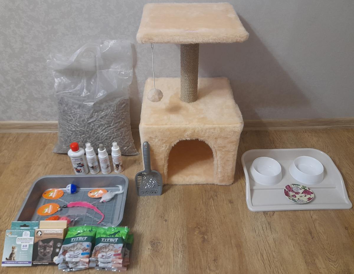 Всё, что нужно для счастья котёнка (и даже больше).