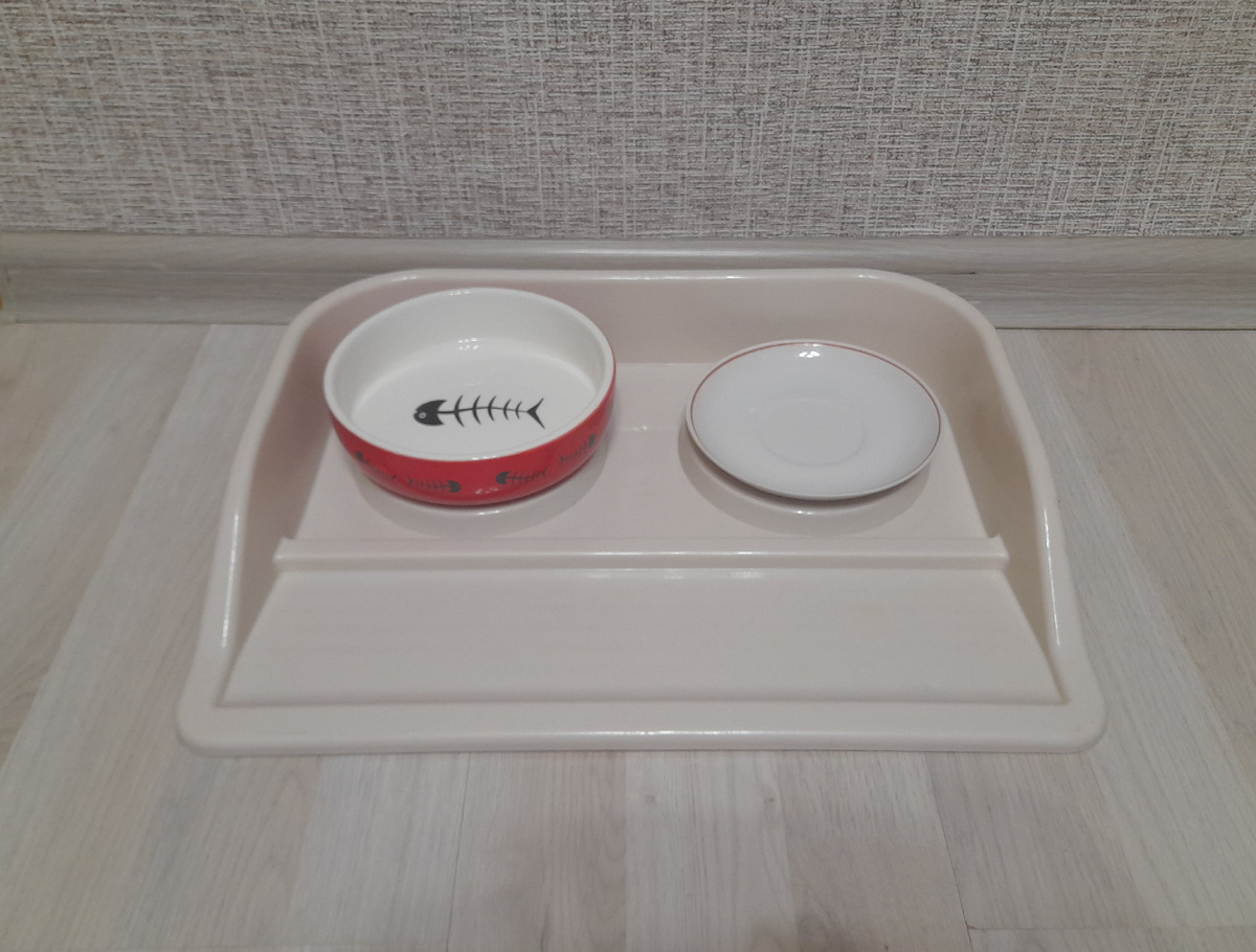 Полтора года верой и правдой. Миски на месте, пол чистый, Лео сыт.