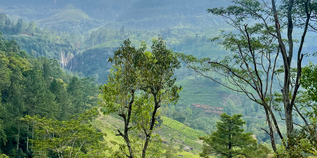 Шри-Ланка. Часть 5. Итоги, советы и колокольчик