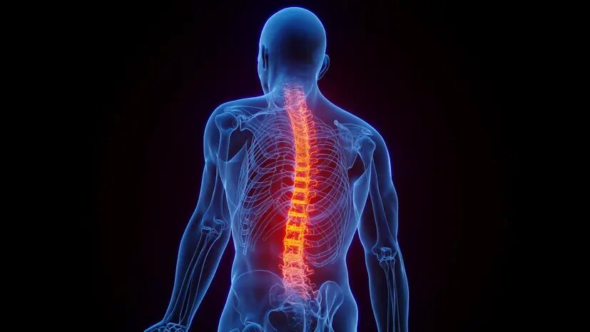    Источник: russian.rt.com Алиса Седова