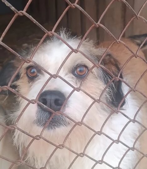 🆘️🆘️🆘️ У нас продолжается таяние снега, размыта дорога и нужно иметь запасы, а у нас ничего нет!