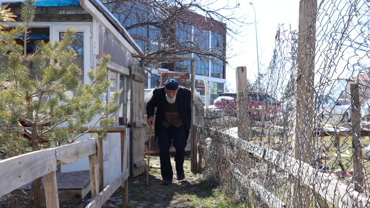 Фото: https://www.dailysabah.com/turkiye/99-year-old-man-in-turkiye-stays-active-with-work-gardening/news