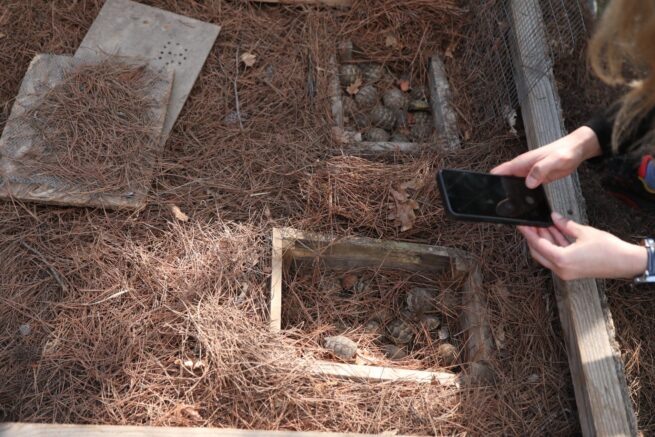    Фото: kavkazzapoved.ru