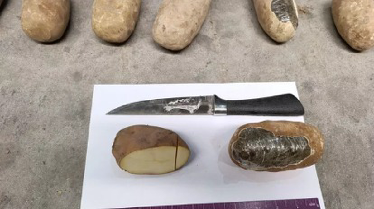    Фото: СГБ Узбекистана