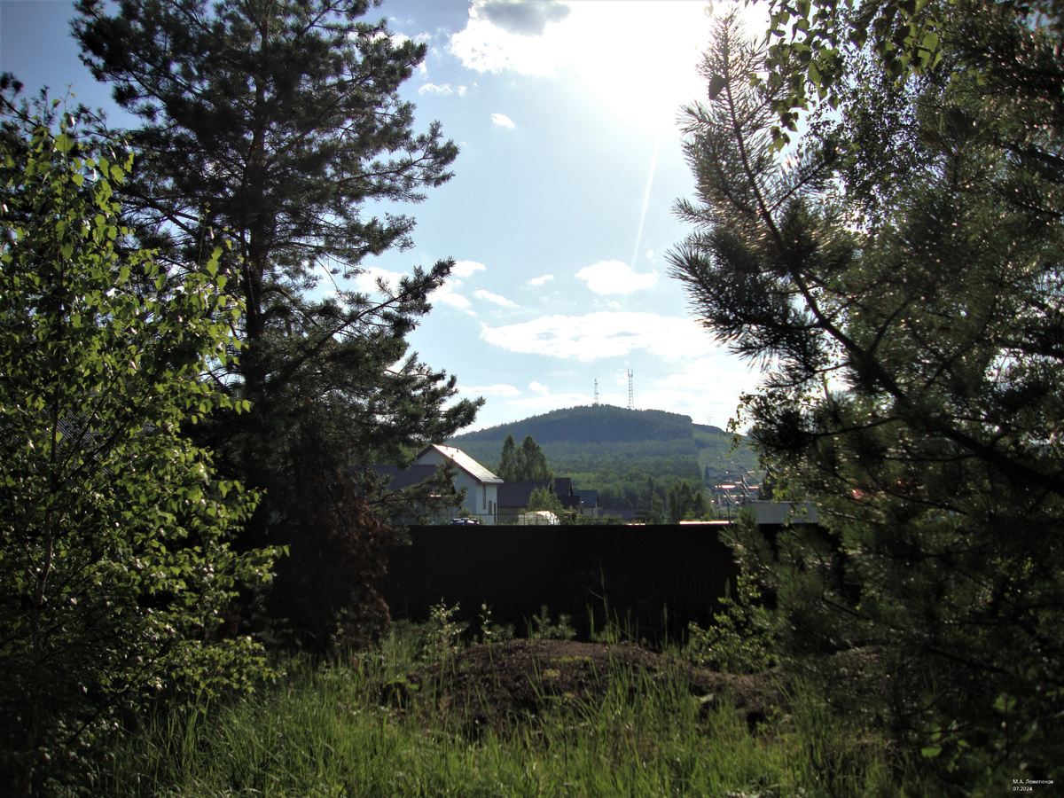 Вершина и восточный склон горы Волчиха, выступающая с примыкающими с севера возвышенностями Магнитных гор меридиональным продолжением срезанного долиной р.Чусовой Ревдинско-Уфалейского горно-увалистого хребта - кряжа, с восточного склона которого берет начало западный исток реки - речка Западная Чусовая. 