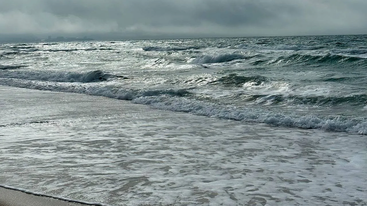    Фото: телеканал «Краснодар»