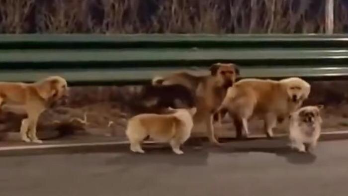 Обложка © Instagram (признан экстремистской организацией и запрещён на территории Российской Федерации) / thesocialmediatimes_