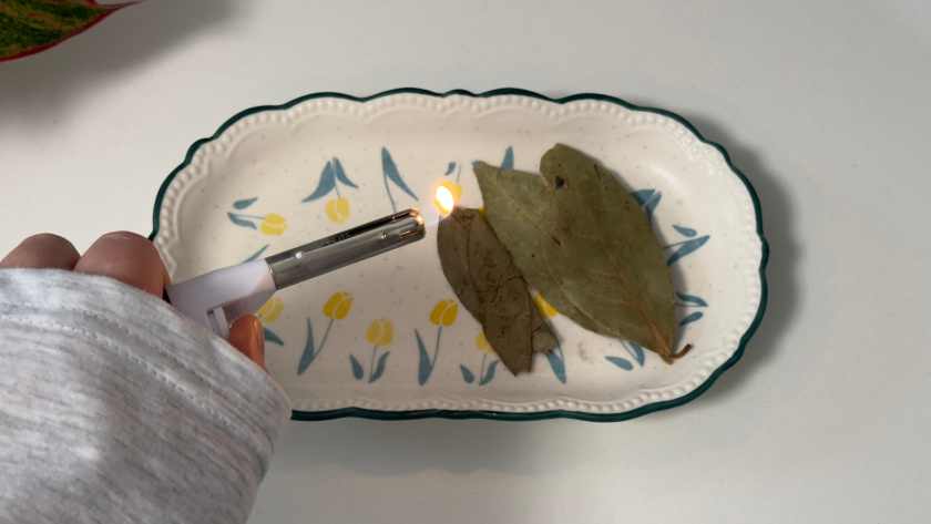    Фото progorod43.ru