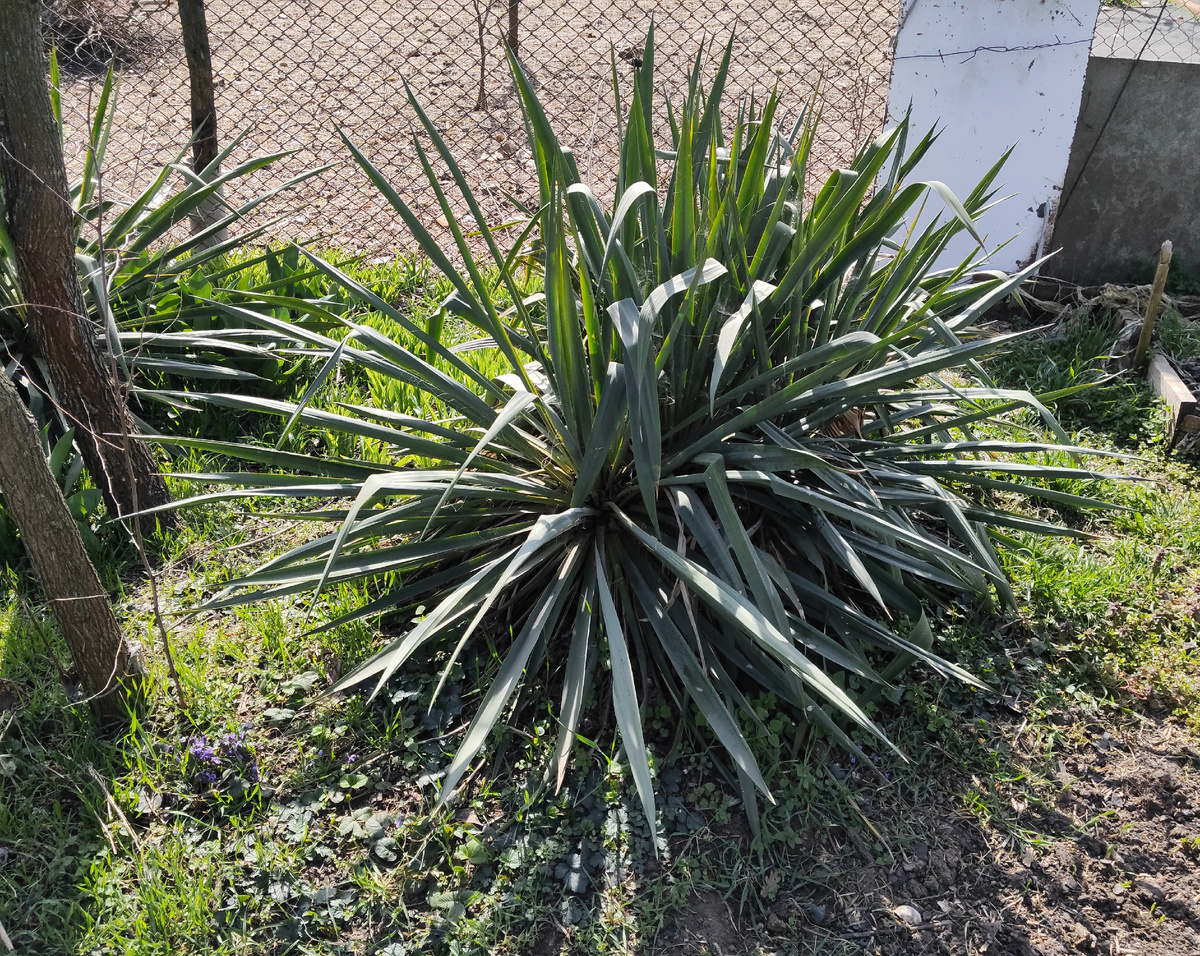 18 марта 2026 года. Солнечная погода.