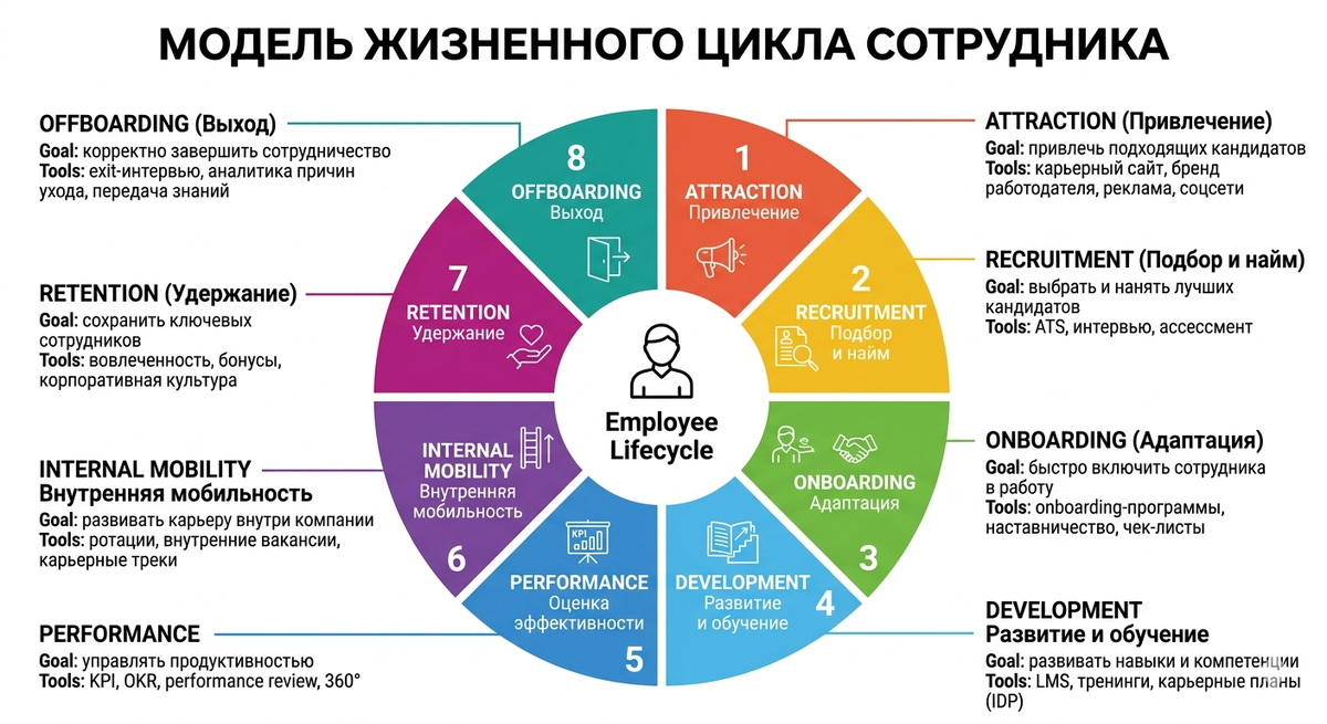 Восемь основныых этапов жизненного цикла сотрудника