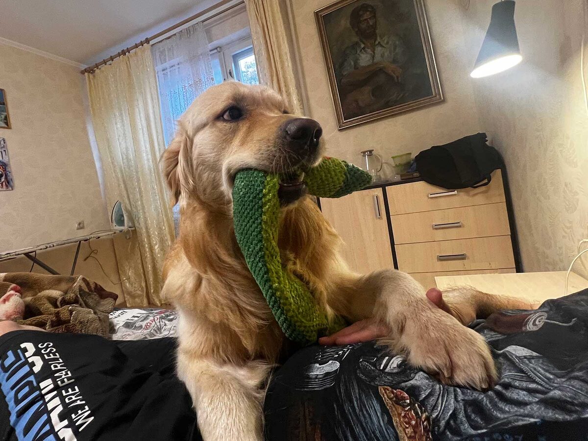 Пора гулять!