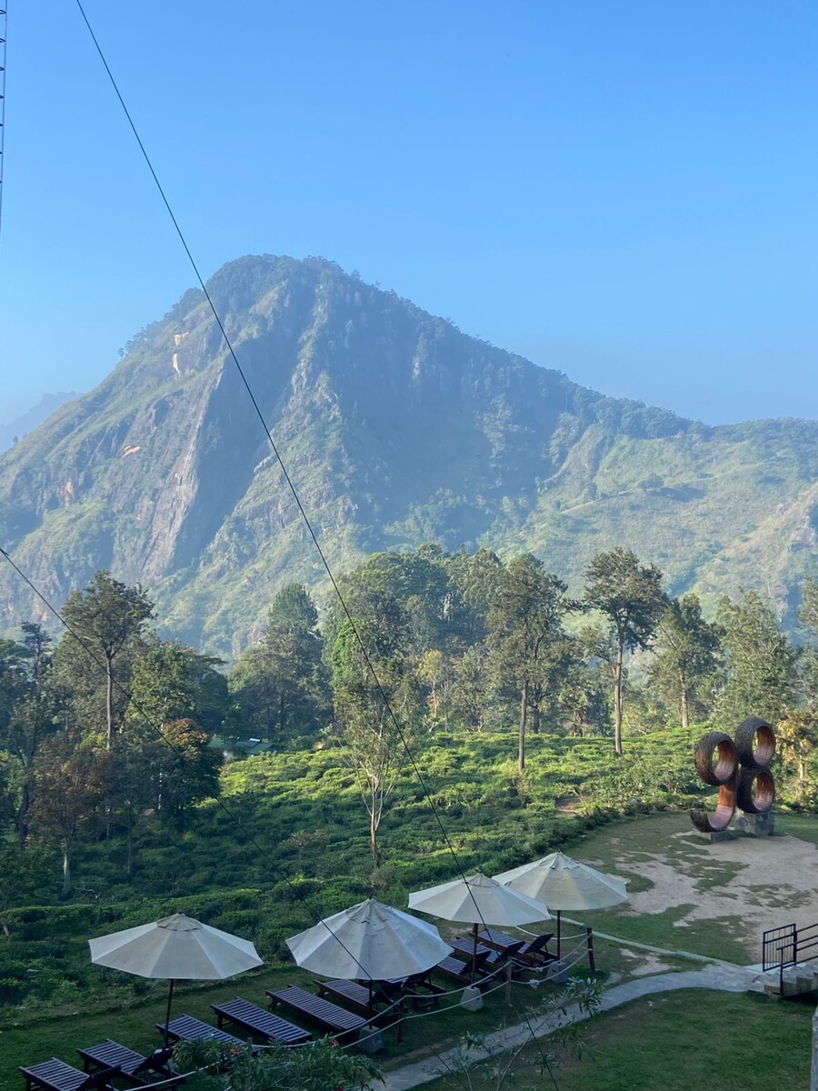 По пути к пику Адама