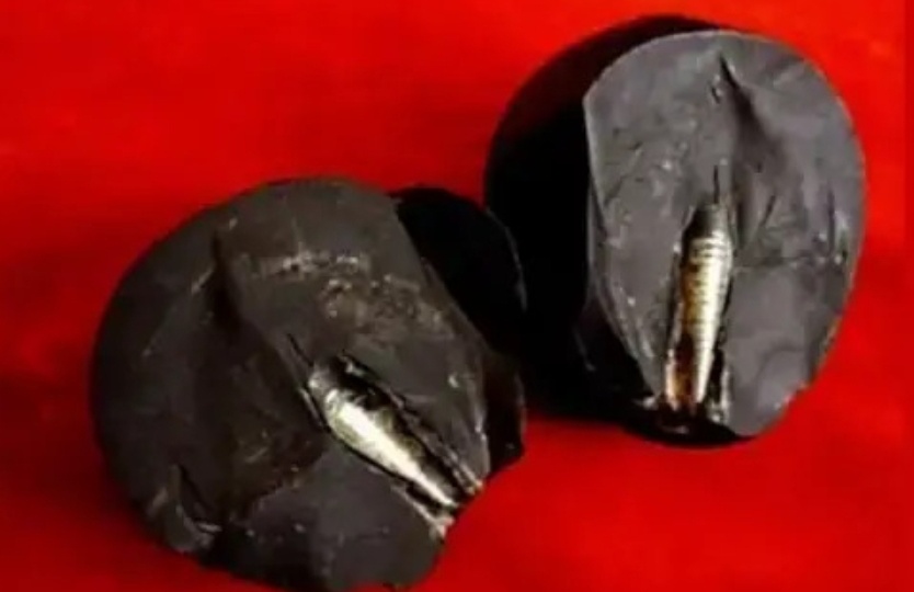 300-миллионолетний винт: находка, которую учёные пытаются забыть