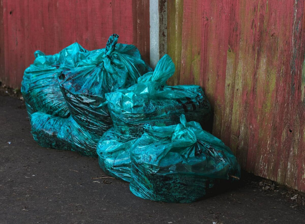     Пакеты с мусором   
(cc) Edward Howell