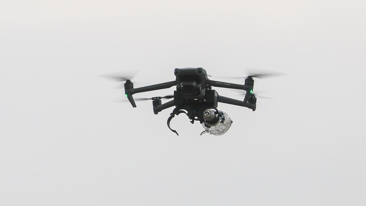    Фото: Shatokhina Natalia/news.ru