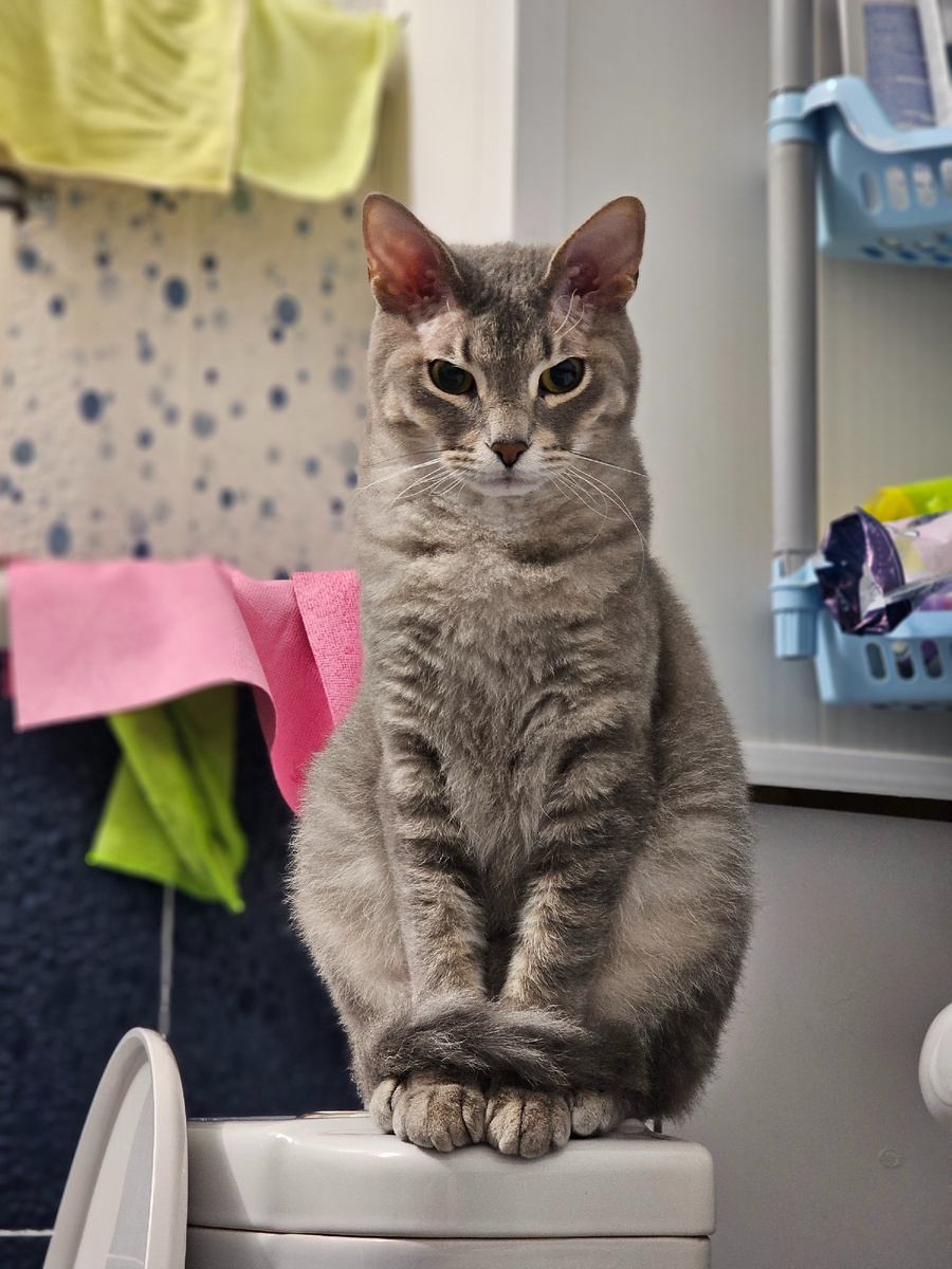 Локи очень пристально смотрит