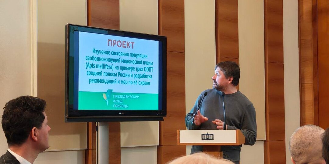 Свободноживущие пчёлы