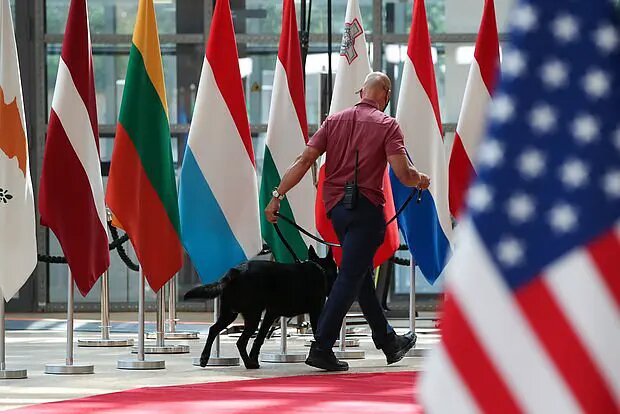    Источник: lenta.ru/ Оливия Ильинская