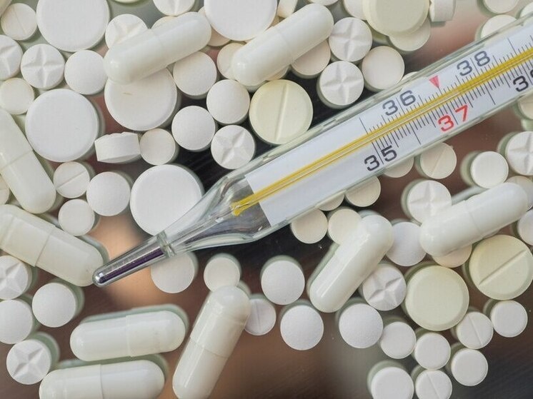     Фото: МК в Пензе