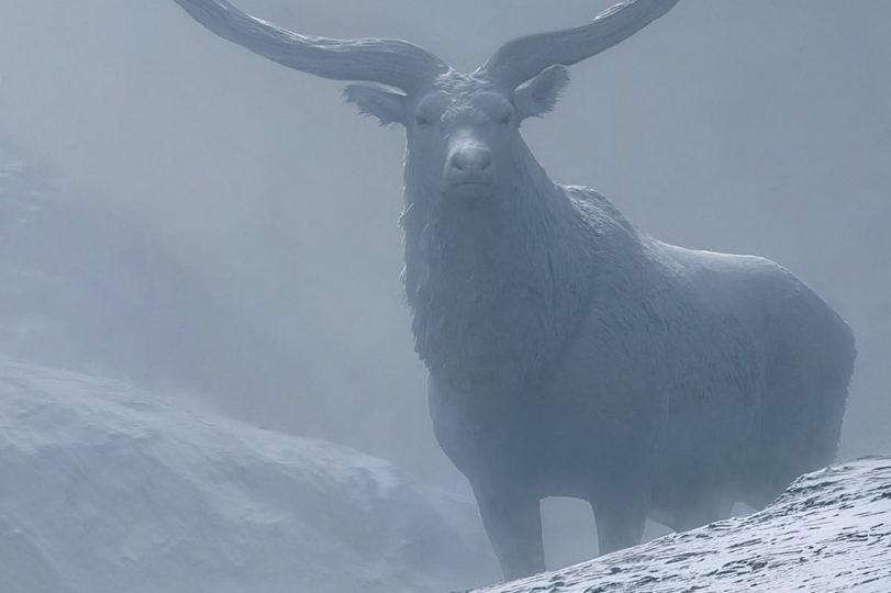 Лекция 4-ПЭ. Катастрофа конца плейстоцена