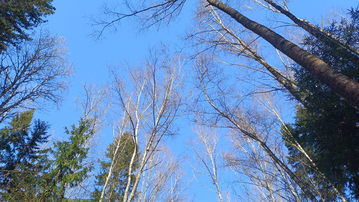 Фото Татьяны Федотовой