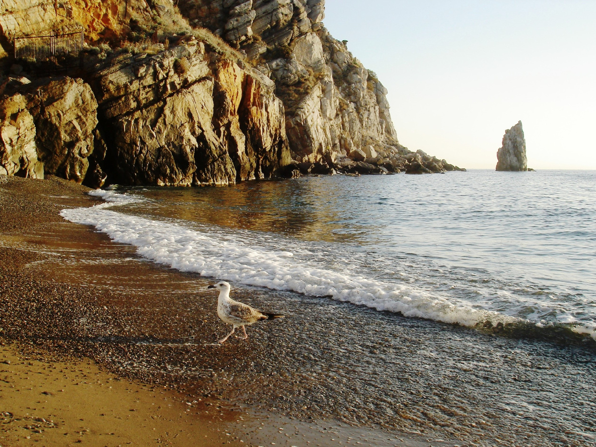 Фото автора. Лучший мелкогалечный пляж на рассвете