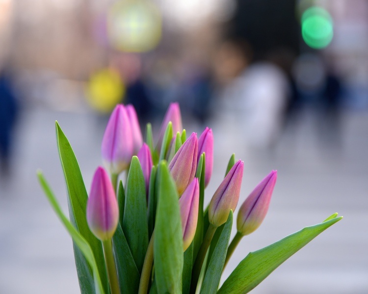     В Курской области 25 марта будет без осадков и до 12 градусов тепла