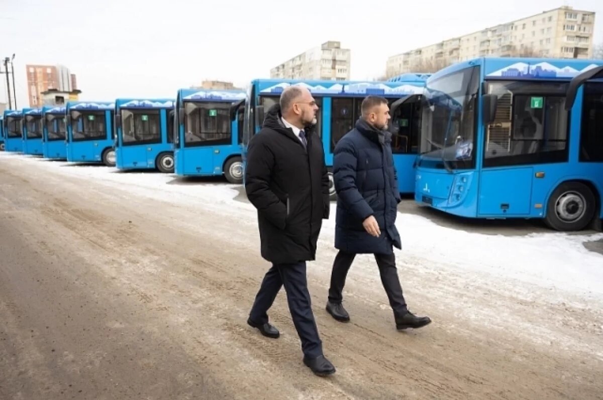    Новые автобусы уже составляют большую часть автопарка.