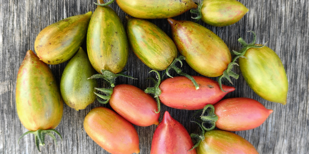 Немного черриков на новый сезон!