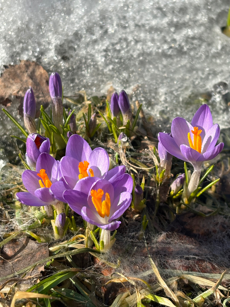 Первый пошел! Везде фото автора.