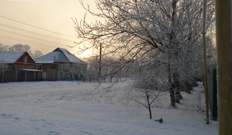 Фото автора. Январь 2024. Станица. Солнце светит, но не греет.