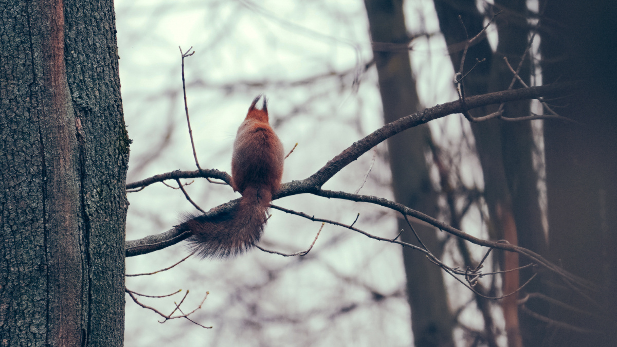 Светлана Мулыкина📷
