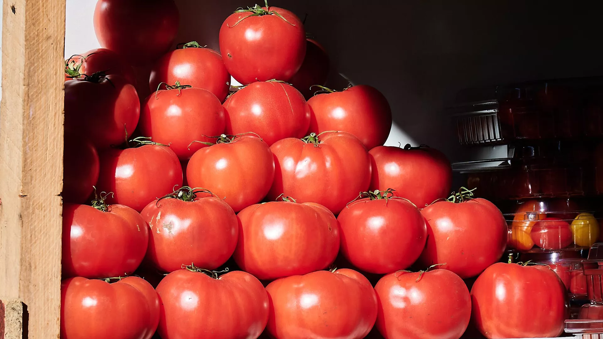 © photo: Sputnik / Stringer