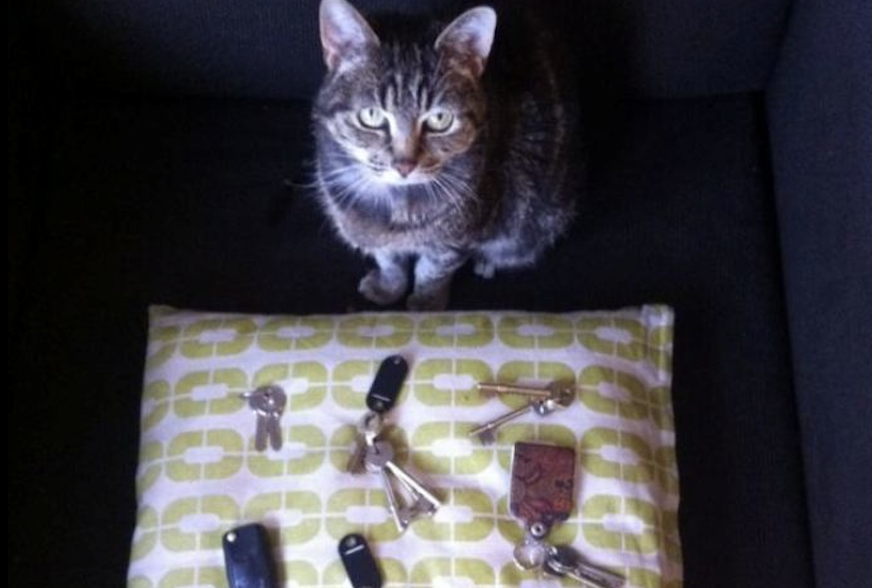 Источник: https://share.google/WX2ES2FGp5z8CTAHr