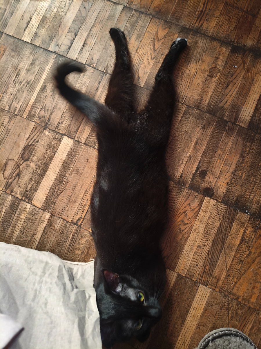 Нюша балдеет 