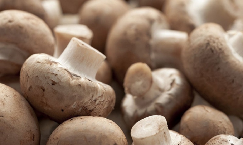 Макароны с грибами: самый быстрый и сытный рецепт для тех, кто хочет постный обед без лишней суеты