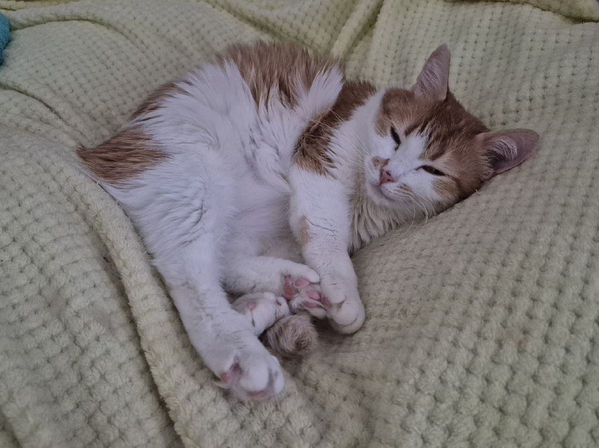 утро было отнюдь не бодрым