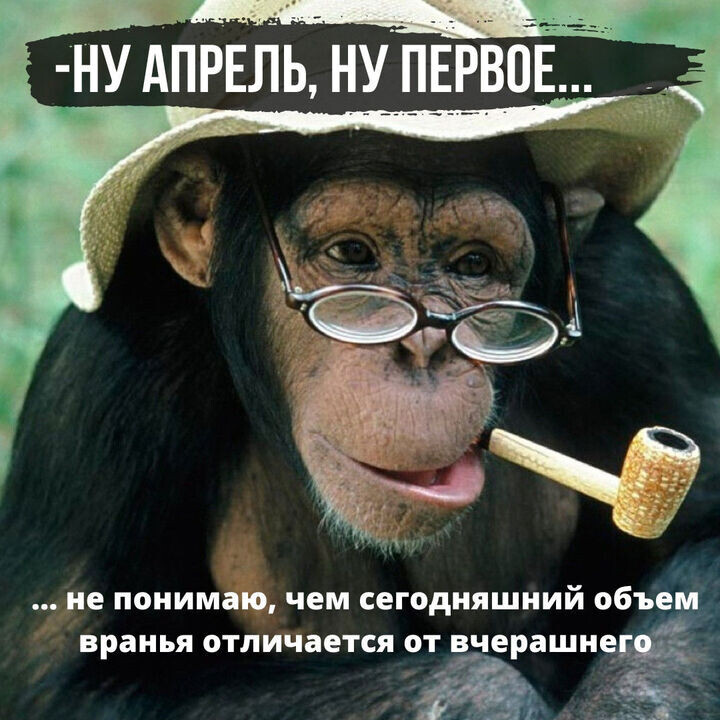 ... Свежестью, качеством, креативностью... 