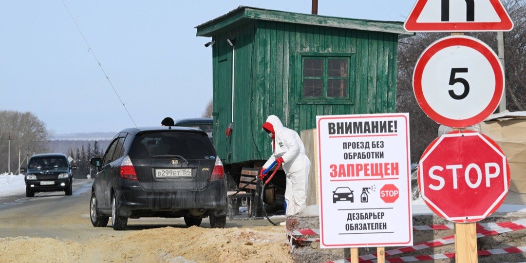 «Систему надо менять, иначе вместо скотины окажемся мы с вами» Против массового зaбoя скота в Сибири выступили даже z-блогеры