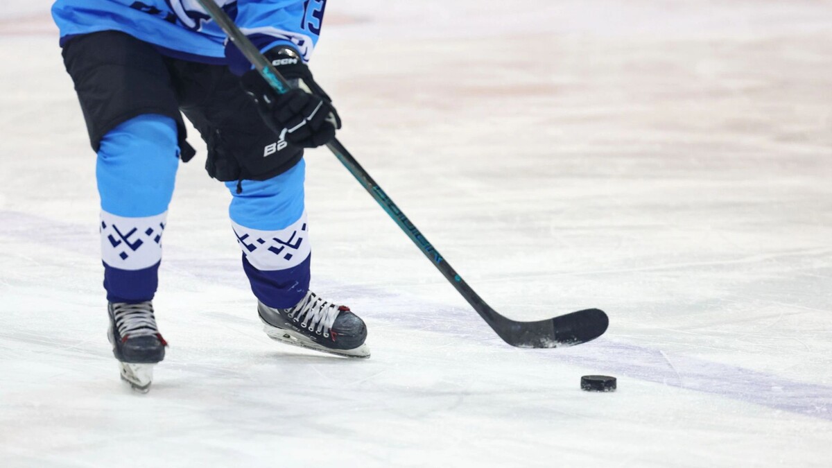    Фото: Андрей Ткачев / «Ямал-Медиа»