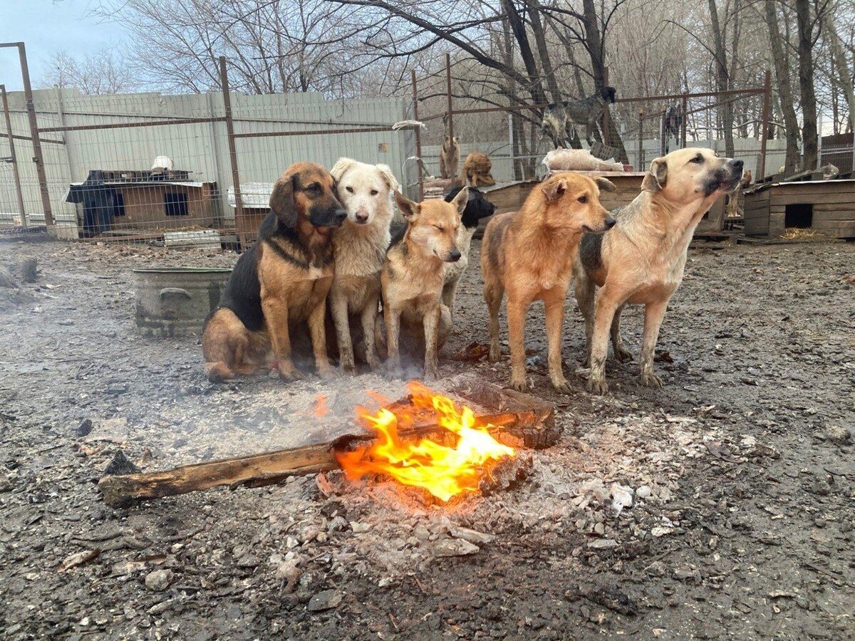     Фото: Юрий ШАМАРИН