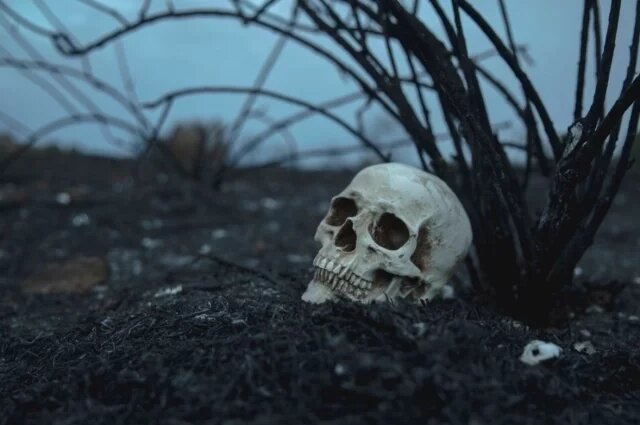    К чему снится череп?