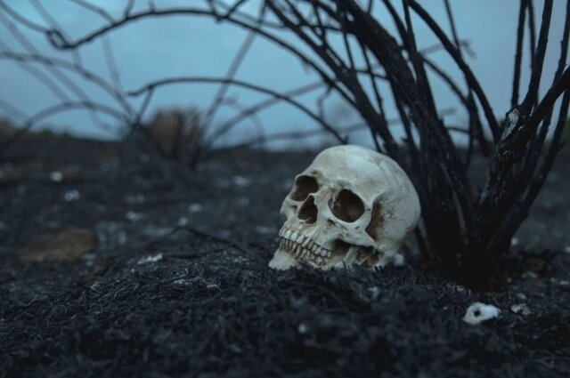    Фото: freepik.com